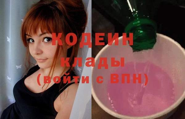 ECSTASY Алзамай