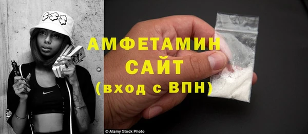 ECSTASY Алзамай