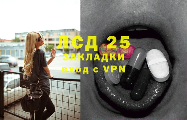ECSTASY Алзамай