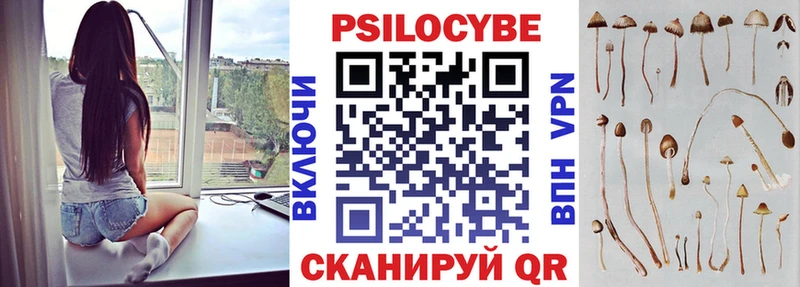 Галлюциногенные грибы GOLDEN TEACHER  Купить  Соль-Илецк 